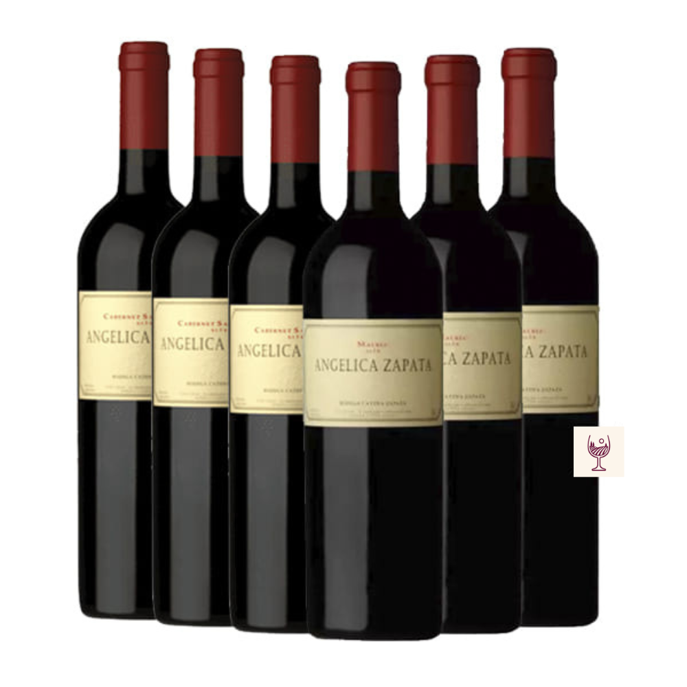 COMBO – 6 UND ANGELICA ZAPATA MALBEC ALTA