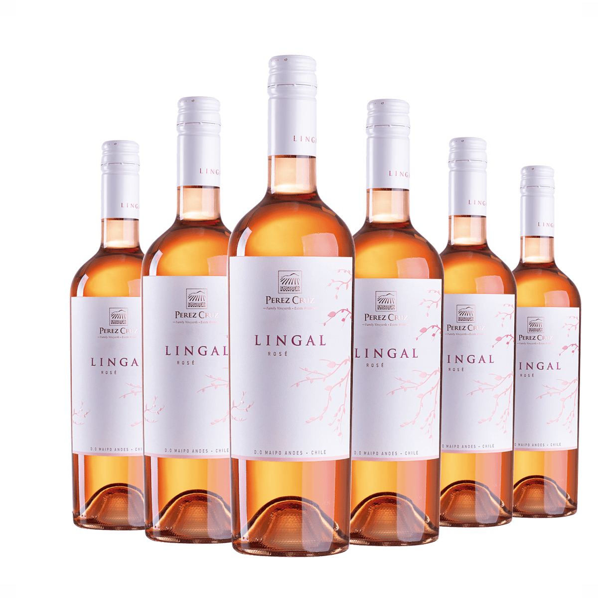 Kit 6 Perez Cruz Rosé Lingal